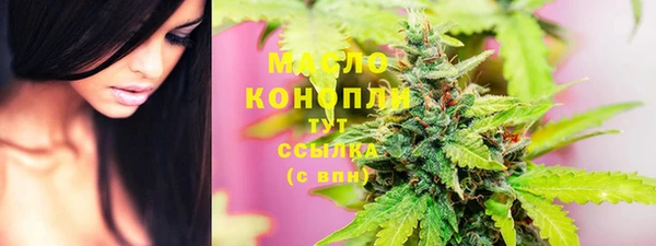 2c-b Ельня