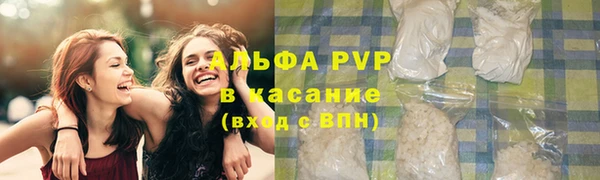 2c-b Ельня
