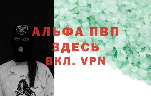 2c-b Ельня