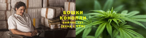 крисы Елизово