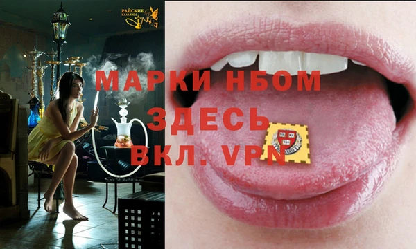 2c-b Ельня