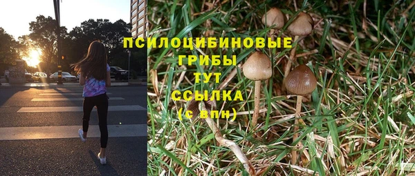 соль ск Елабуга