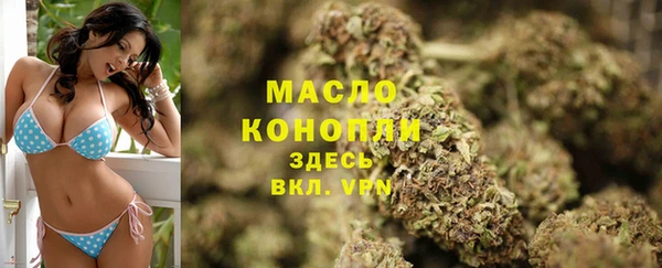 2c-b Ельня