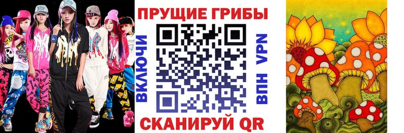 Псилоцибиновые грибы ЛСД  Цоци-Юрт 